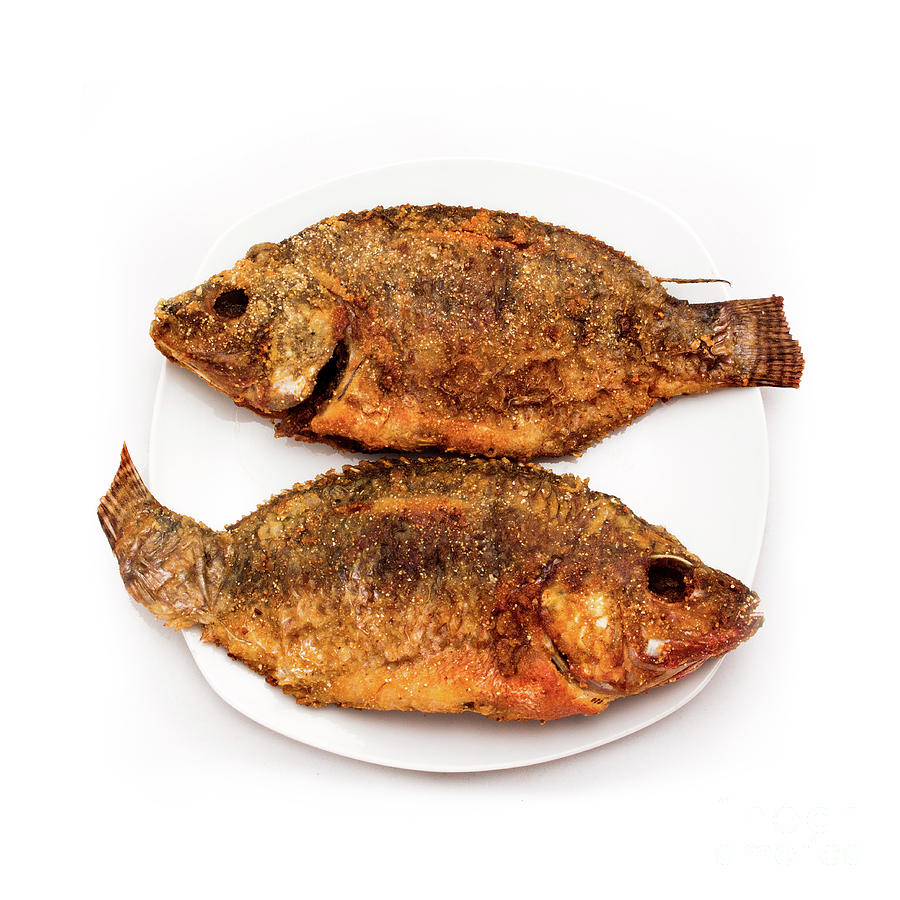 This image has an empty alt attribute; its file name is fried-fish-on-white-porcelain-plate-isolated-on-white-backgroun-mohamed-fadly.jpg