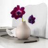 Prodhimi beige, perle S - Image 2