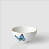 Amazonia Dessert bowl - Image 4