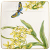 Amazonia - Image 3